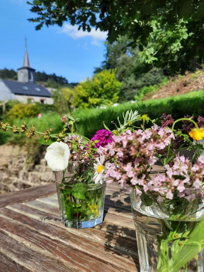 Gezellige Met Open Haard En Zonnige Tuin. Hébergement de vacances