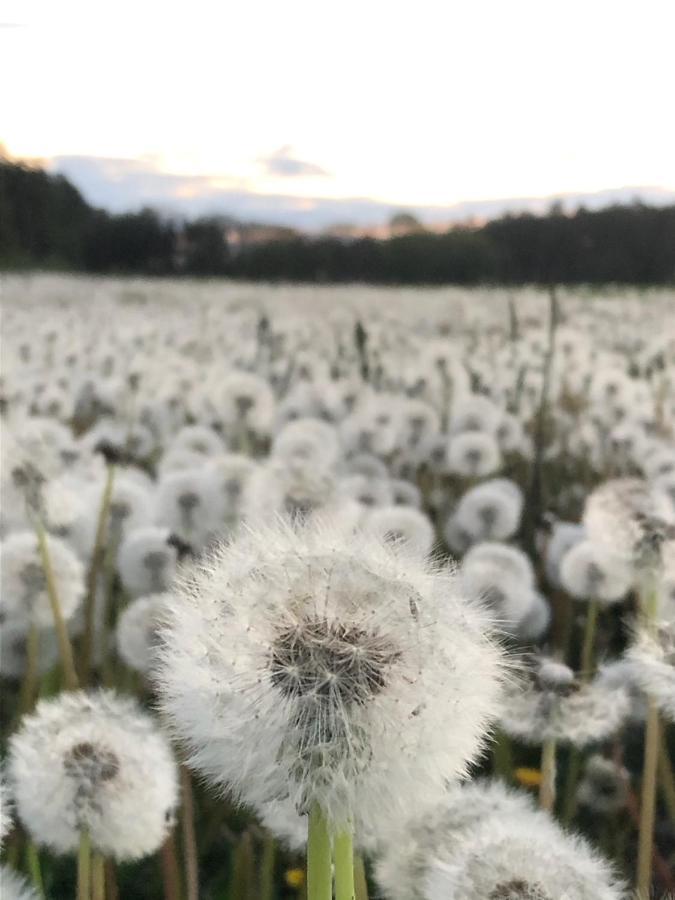 Hébergement de vacances Gezellige Met Open Haard En Zonnige Tuin. Doische