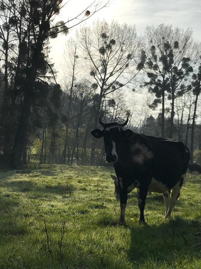 Hébergement de vacances Gezellige Met Open Haard En Zonnige Tuin.