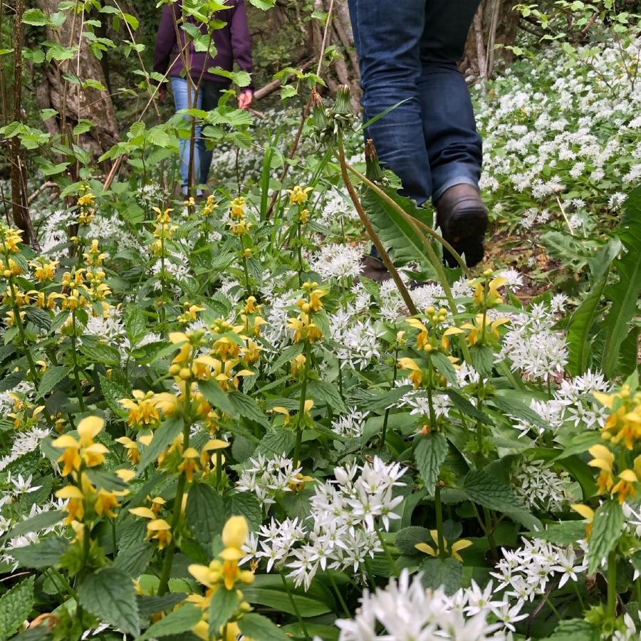 Hébergement de vacances Gezellige Met Open Haard En Zonnige Tuin.